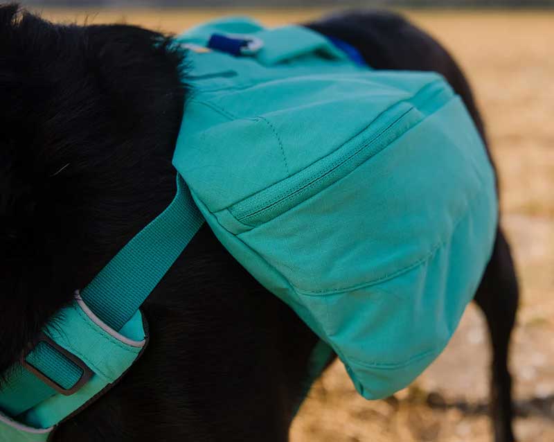 Alforja "Front Range" Day Pack Ruffwear - Aurora Teal / M