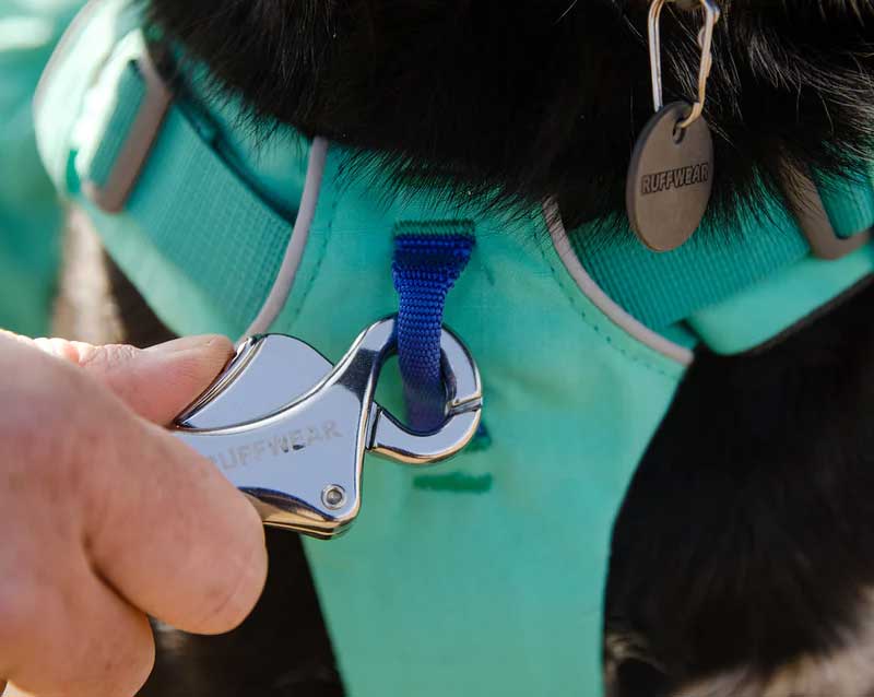 Alforja "Front Range" Day Pack Ruffwear - Aurora Teal / L/XL