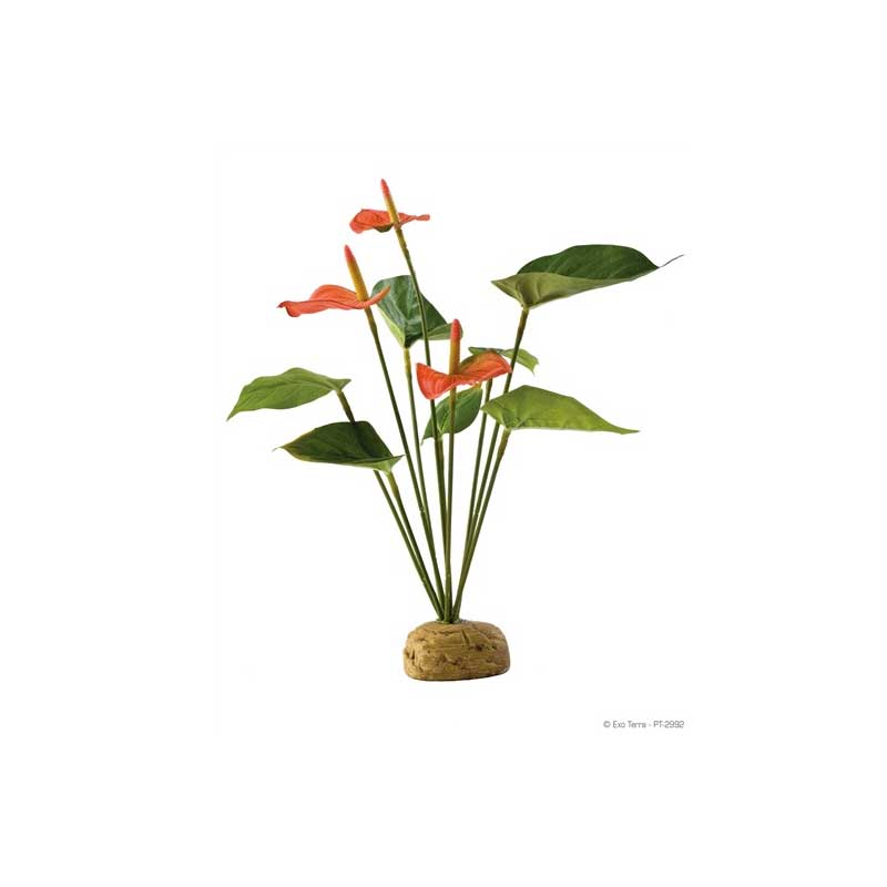 Deco Anthurium Bush Exo Terra