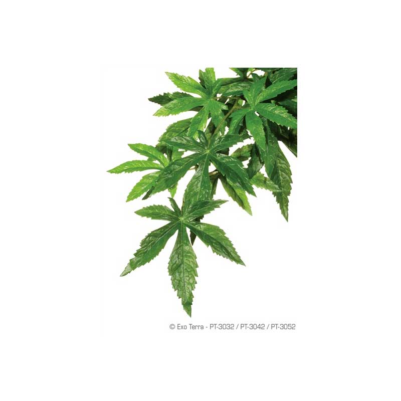 Deco Silk Plant Abutilon Exo Terra