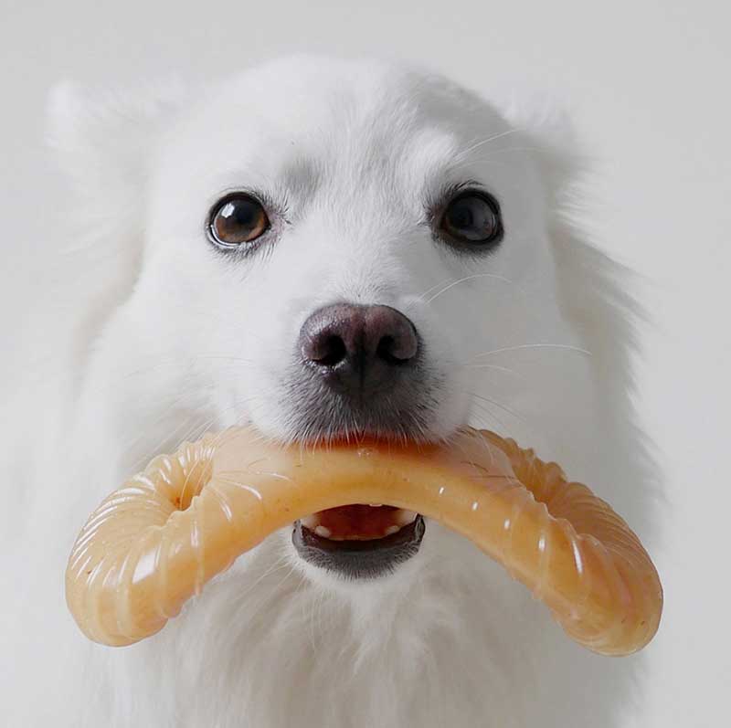 Benebone Dental Chew Pollo