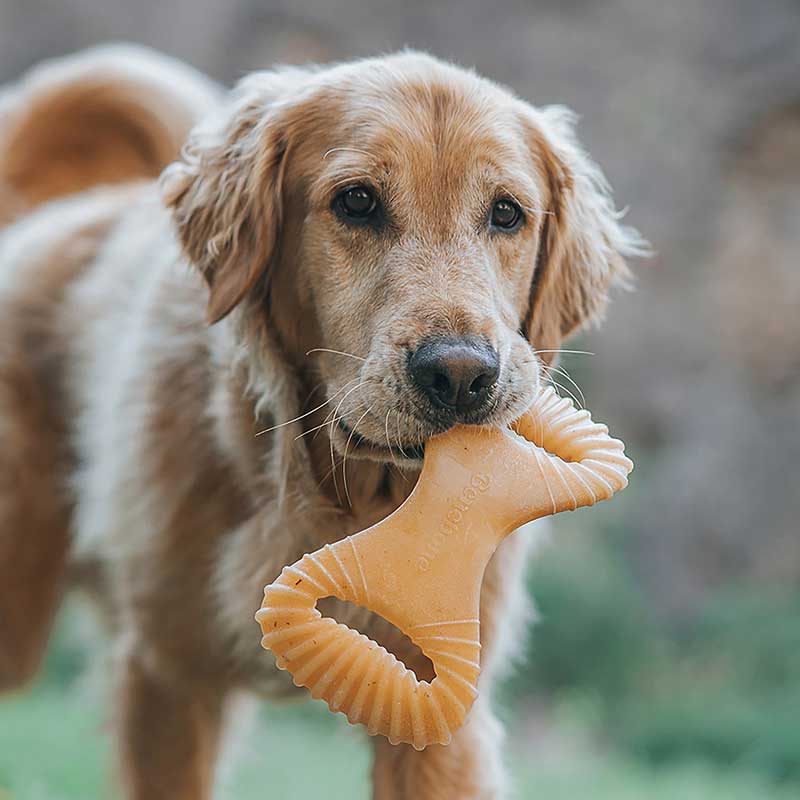 Benebone Dental Chew Pollo