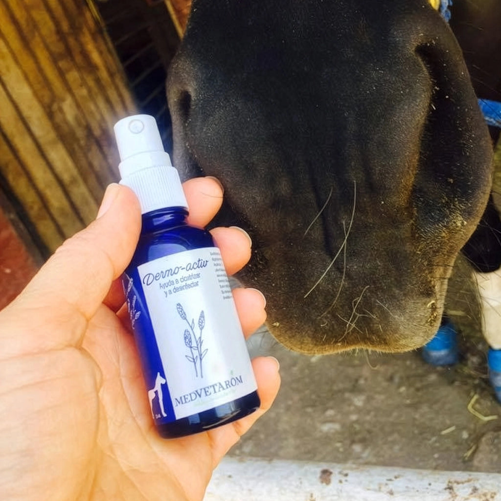 Spray DERMO-ACTIV Cicatrizante y Desinfectante Medvetarom con fórmula vegana para cicatrizar y proteger la piel.