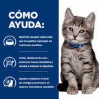 Hill's i/d Cuidado Digestivo para Gatitos, alimento Prescription Diet con pollo en bolsa blanca con imagen de gatito.
