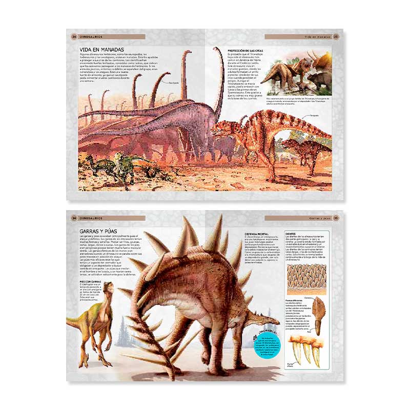 Dinosaurios. Viaja En El Tiempo Para Conocer A Las Criaturas Más Impresionantes De La Historia