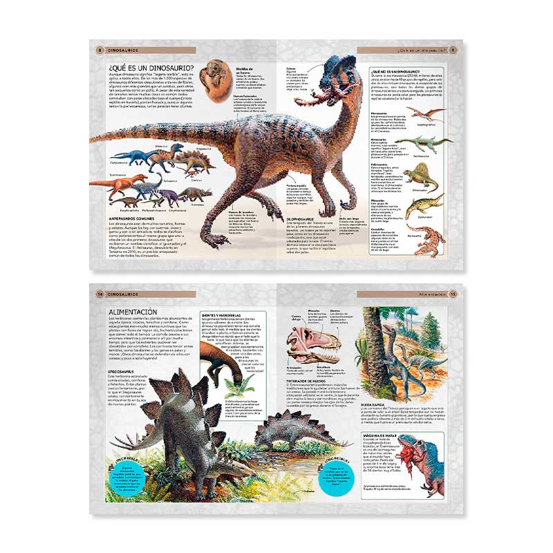 Dinosaurios. Viaja En El Tiempo Para Conocer A Las Criaturas Más Impresionantes De La Historia