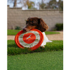Disco Volador Suave para Perros Tall Tails