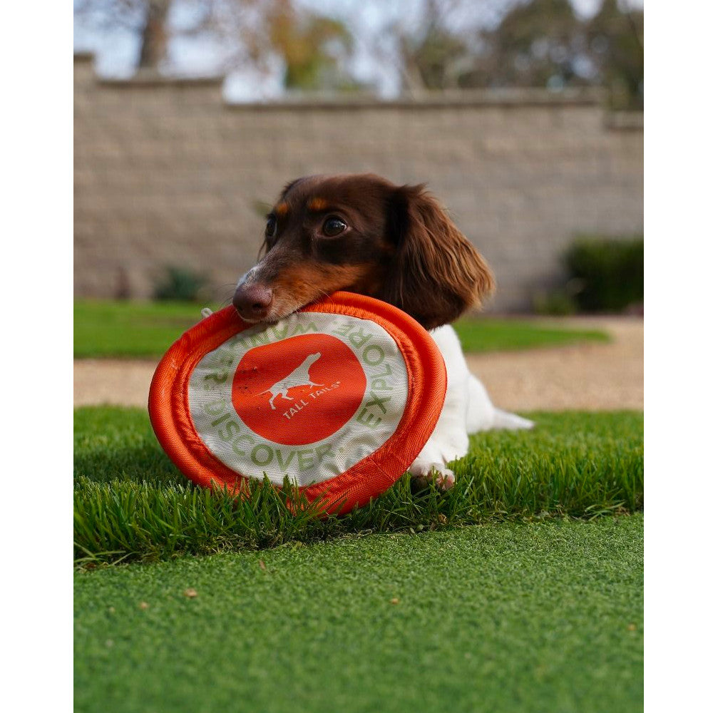 Disco Volador Suave para Perros Tall Tails