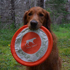 Disco Volador Suave para Perros Tall Tails