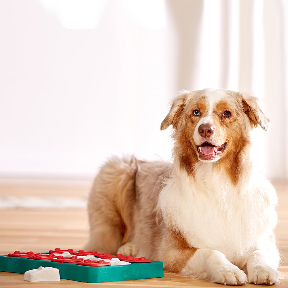 Nina Ottosson "Dog Brick"