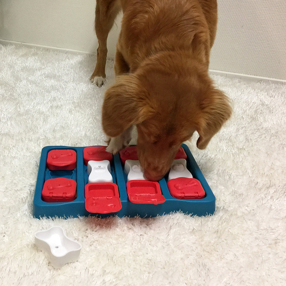 Nina Ottosson "Dog Brick"