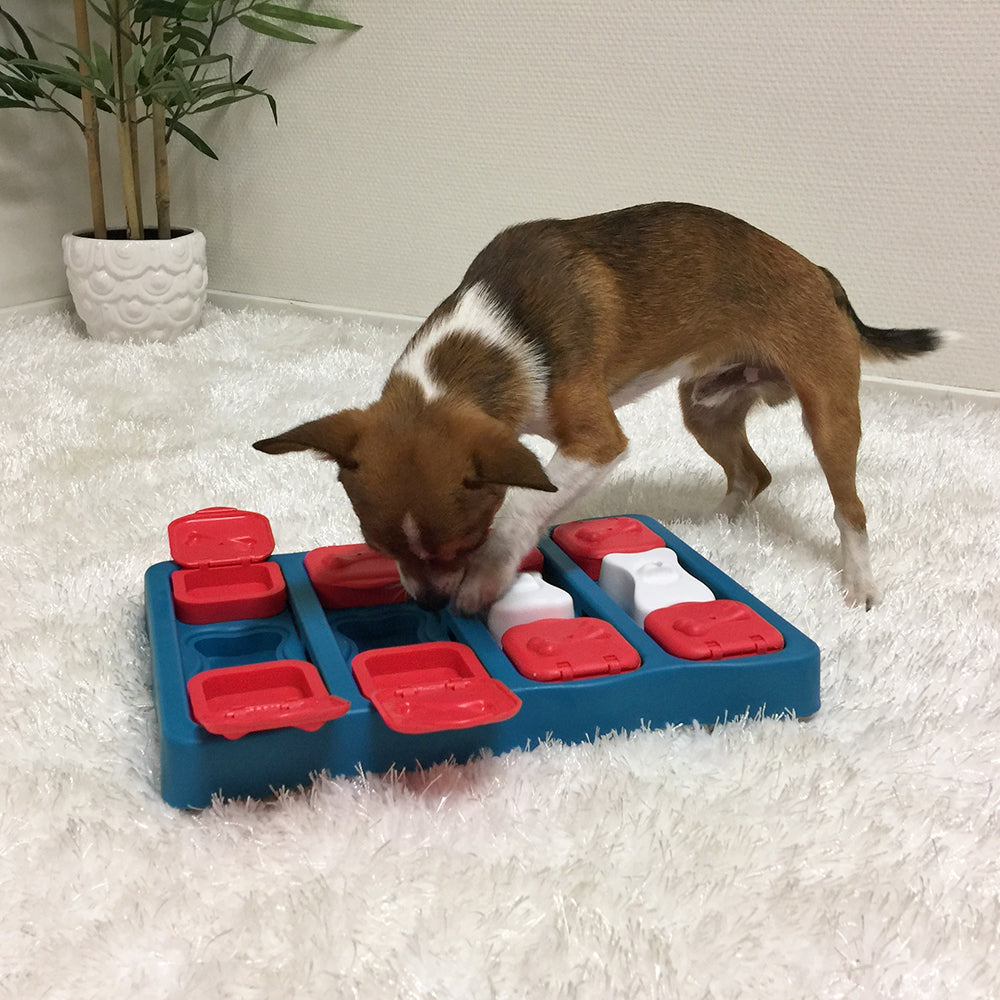 Nina Ottosson "Dog Brick"