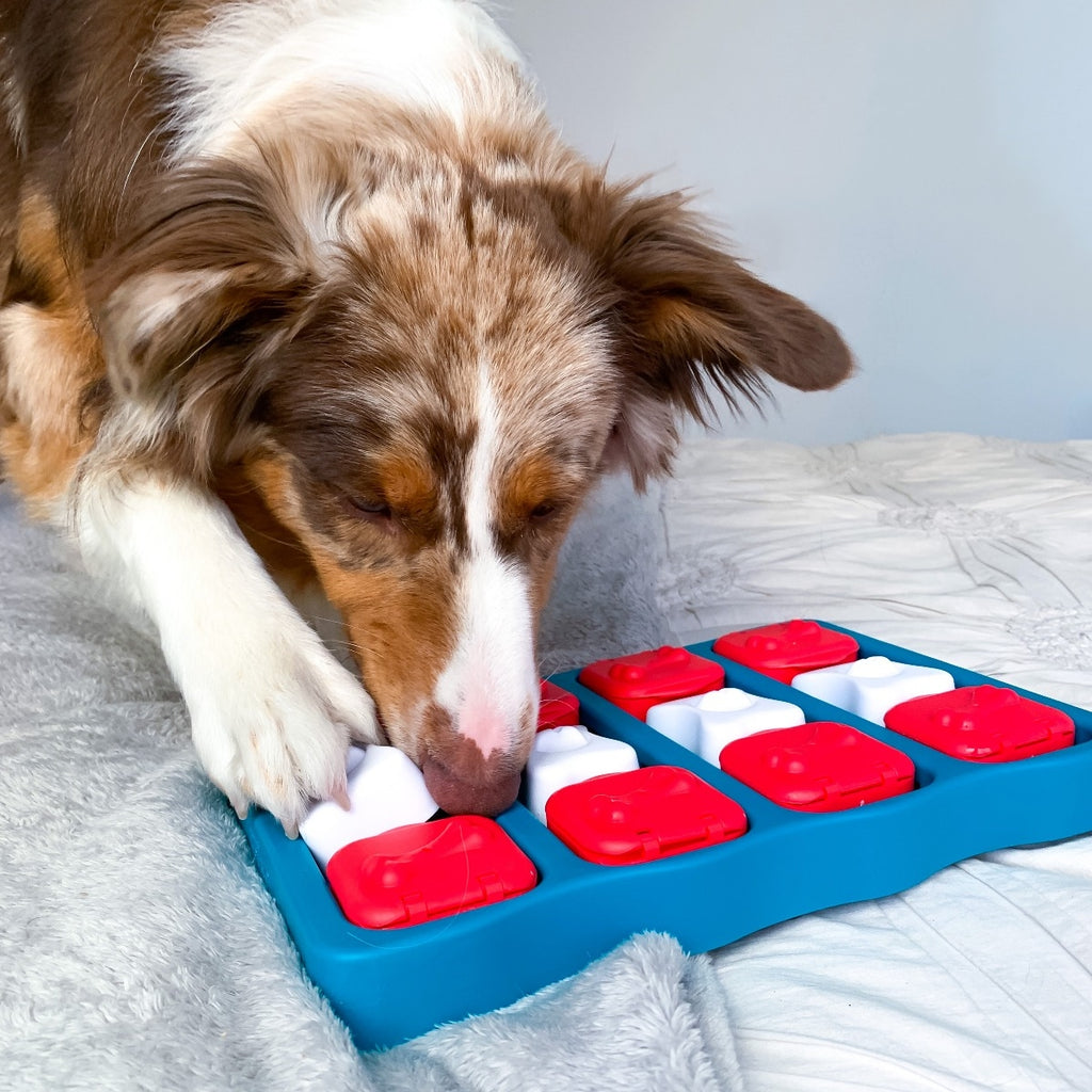 Nina Ottosson "Dog Brick"