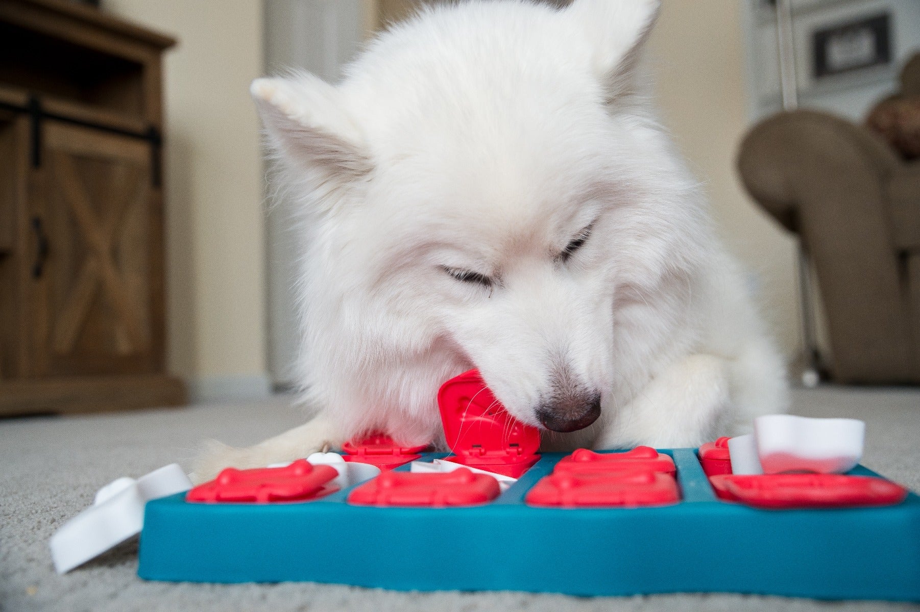 Nina Ottosson "Dog Brick"