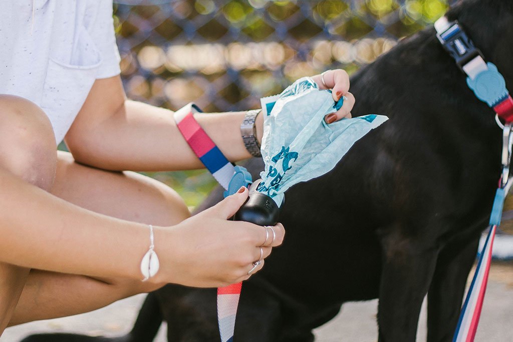 Bolsas Sanitarias Biodegradables "Poop Bags" Zee.Dog