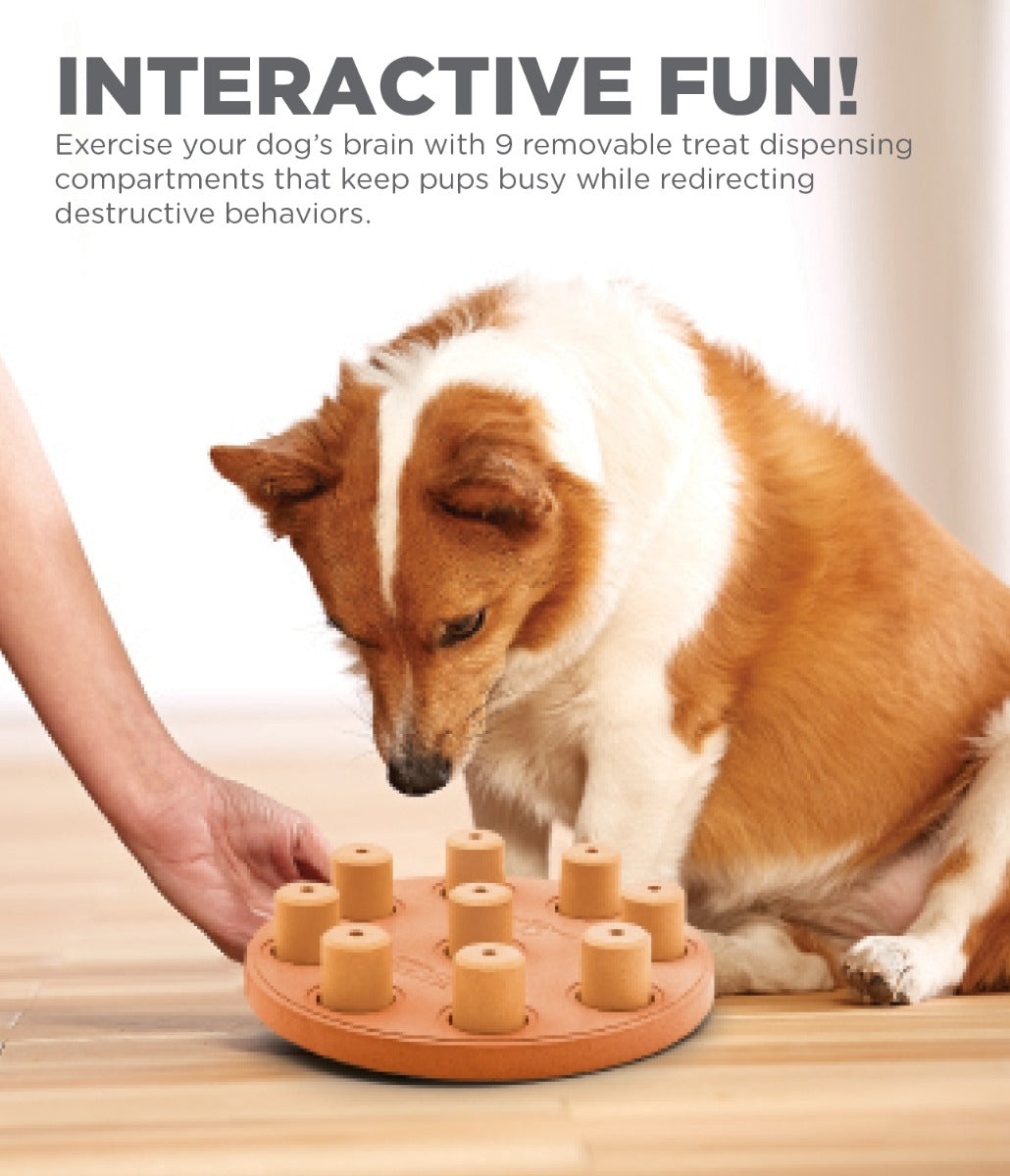 Nina Ottoson "Dog Smart"
