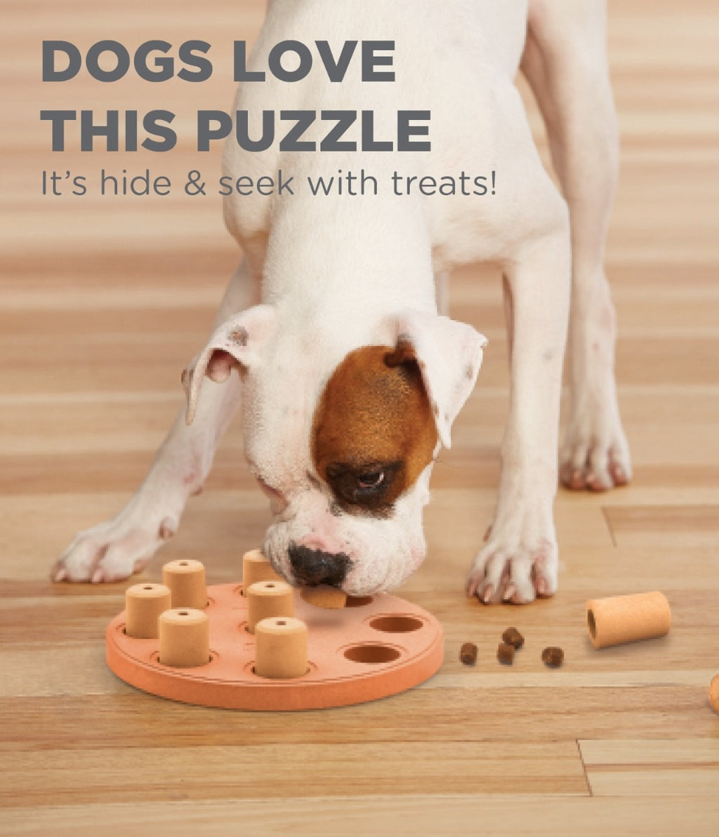 Nina Ottoson "Dog Smart"