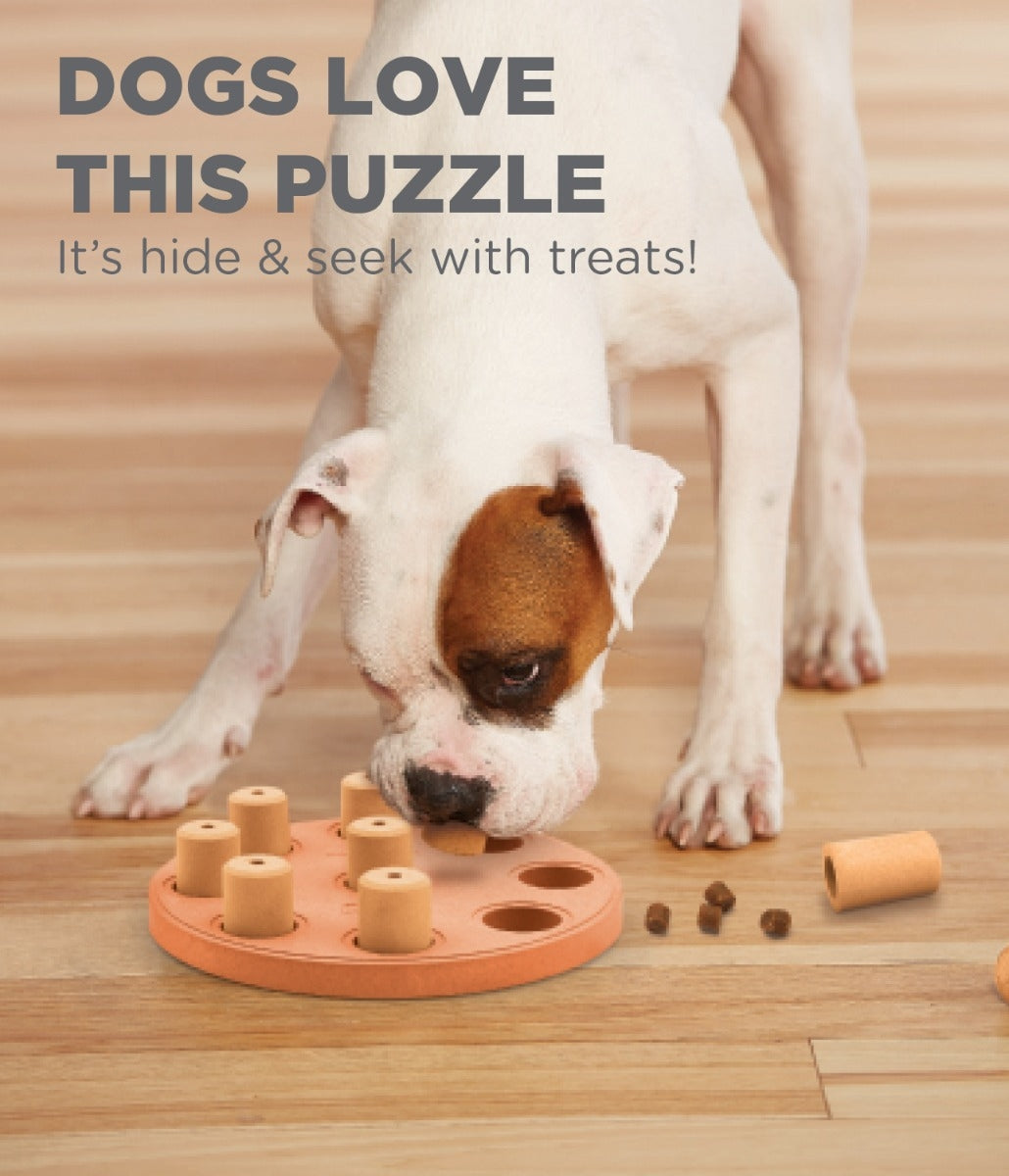 Nina Ottoson "Dog Smart"