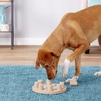 Nina Ottoson "Dog Smart"