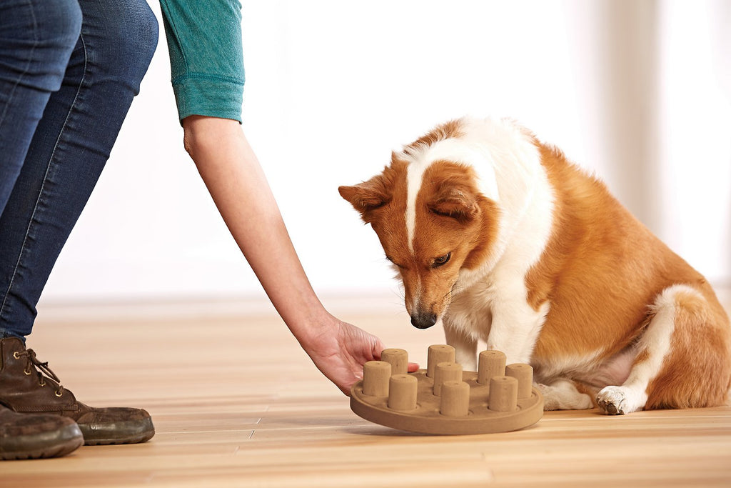 Nina Ottoson "Dog Smart"