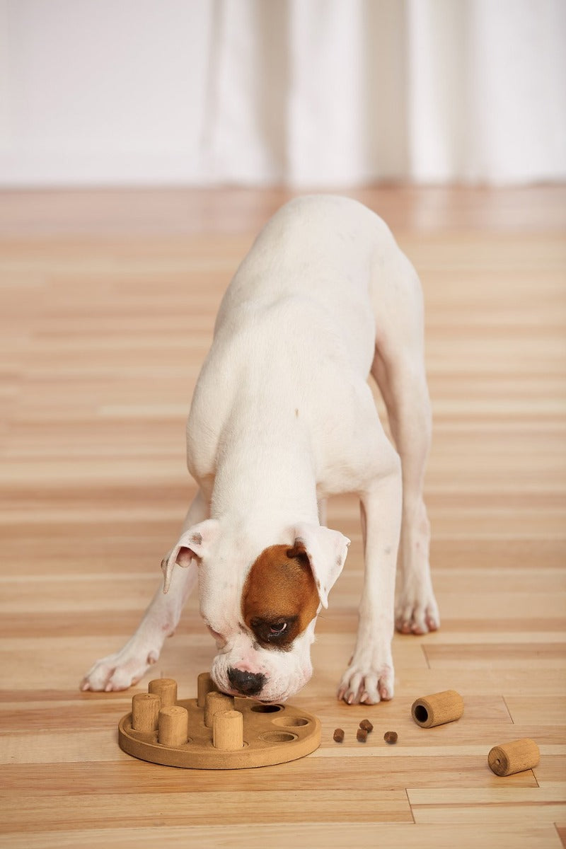 Nina Ottoson "Dog Smart"