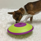 Nina Ottosson "Dog Treat Maze"