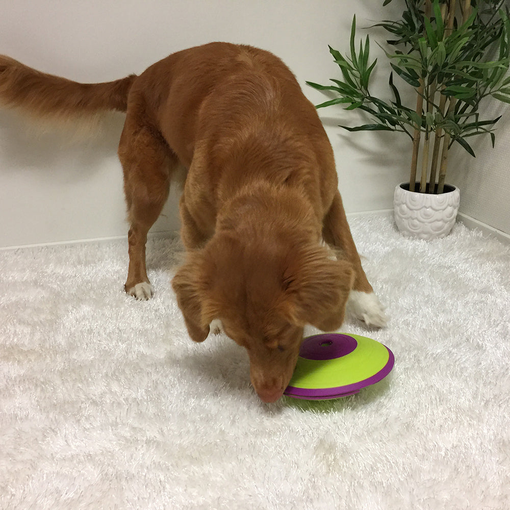 Nina Ottosson "Dog Treat Maze"