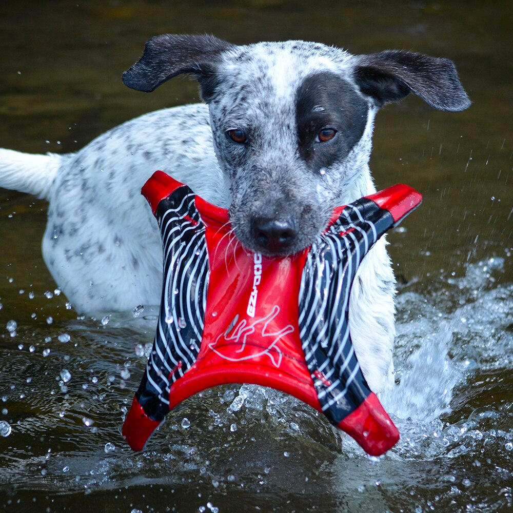 Juguete Flyer "Dogstar" EzyDog