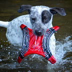 Juguete Flyer "Dogstar" EzyDog