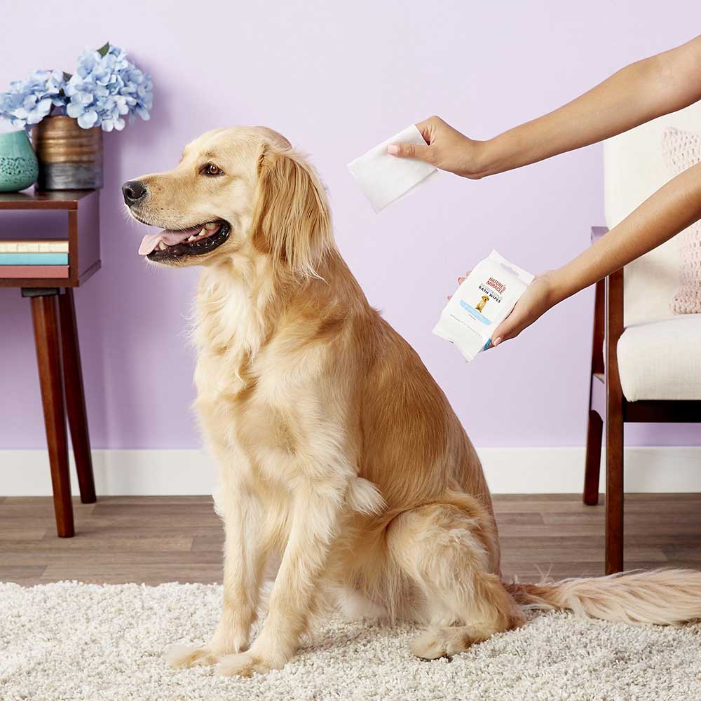 Toallitas Humedas de Baño "Spring Waters Scent"