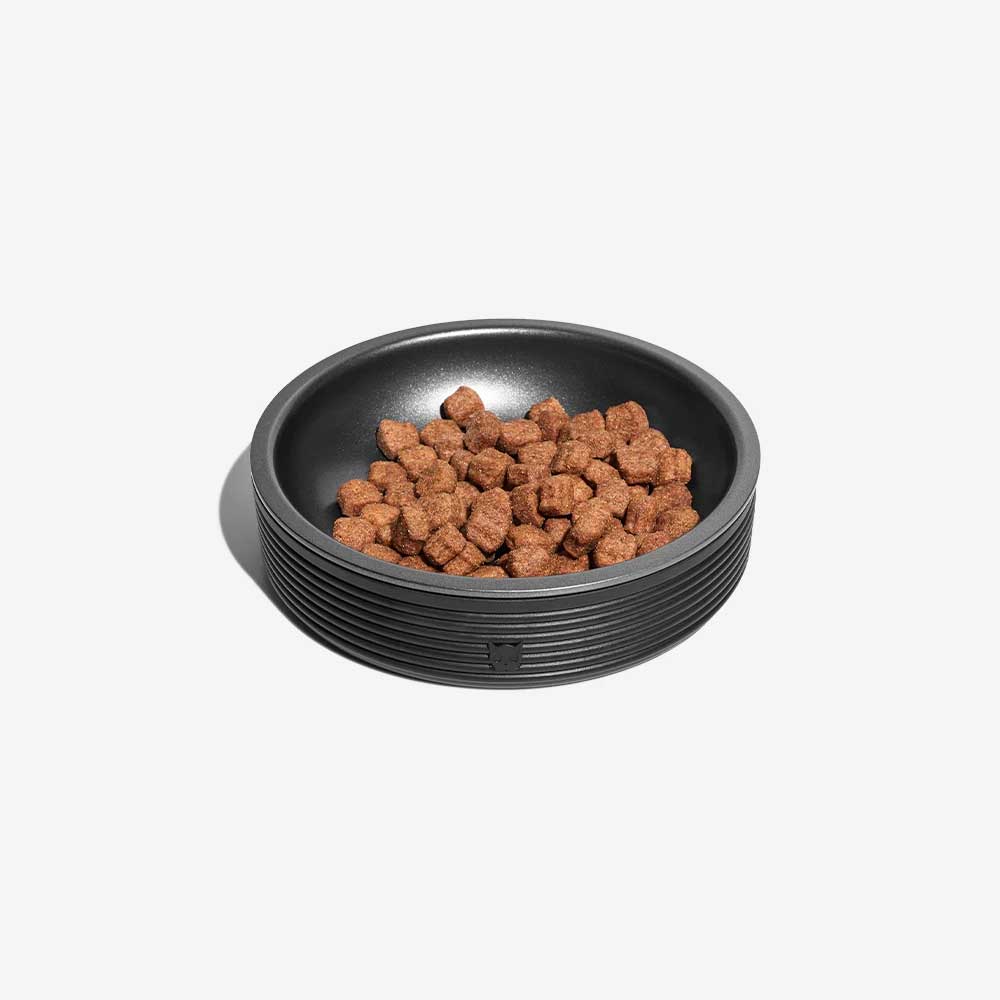 Plato para Gatos "Duo Bowl" Zee.Cat 