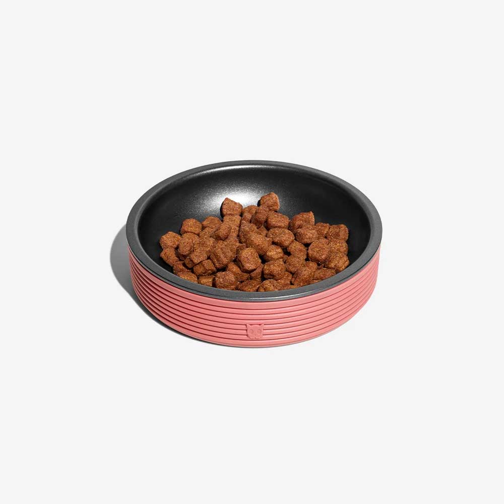 Plato para Gatos "Duo Bowl" Zee.Cat 