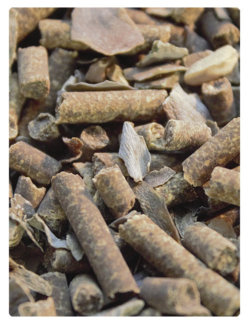 Sustrato de Algas Eco-Bedding Forest Like