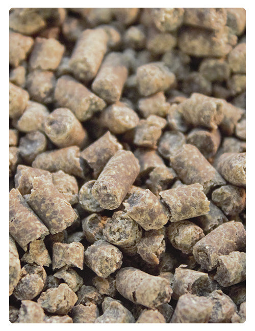 Sustrato de Algas Eco-Bedding para Pequeños Animales