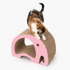 Rasguñador Catit ZOO "Elefante 2 en 1"