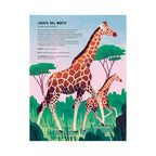 Enciclopedia De Animales