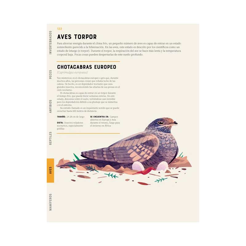 Enciclopedia De Animales