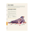 Enciclopedia De Animales