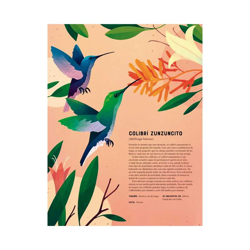 Enciclopedia De Animales