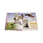 Enciclopedia Junior De Los Animales