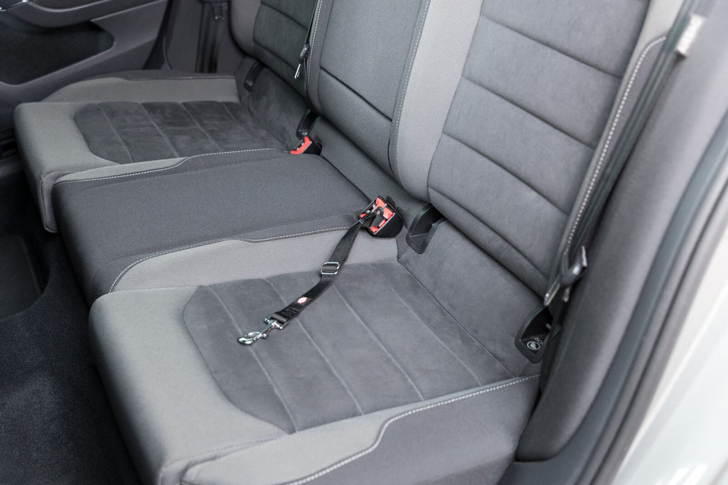 Enganche de Cinturón de Seguridad Trixie