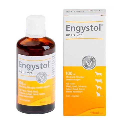 Heel Vet Engystol Solución Oral