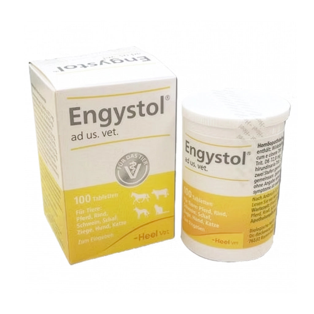 Heel Vet Engystol 100 Comprimidos en caja amarilla y blanca con tabletas veterinarias para múltiples especies.