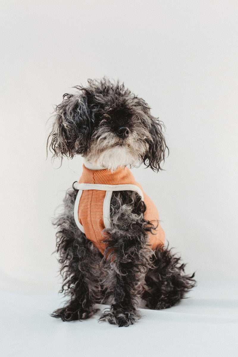 Body de Cobre Post Operatorio Tradicional - 5: 7,5 a 10 kg