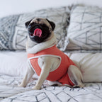 Body de Cobre Post Operatorio Tradicional - 6: 10 a 13 kg