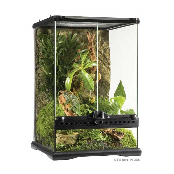 Exo Terra Terrario Mini