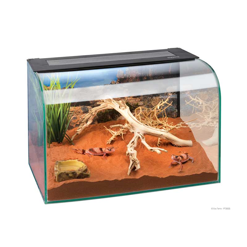 Terrario de Escritorio Habisphere Exo Terra