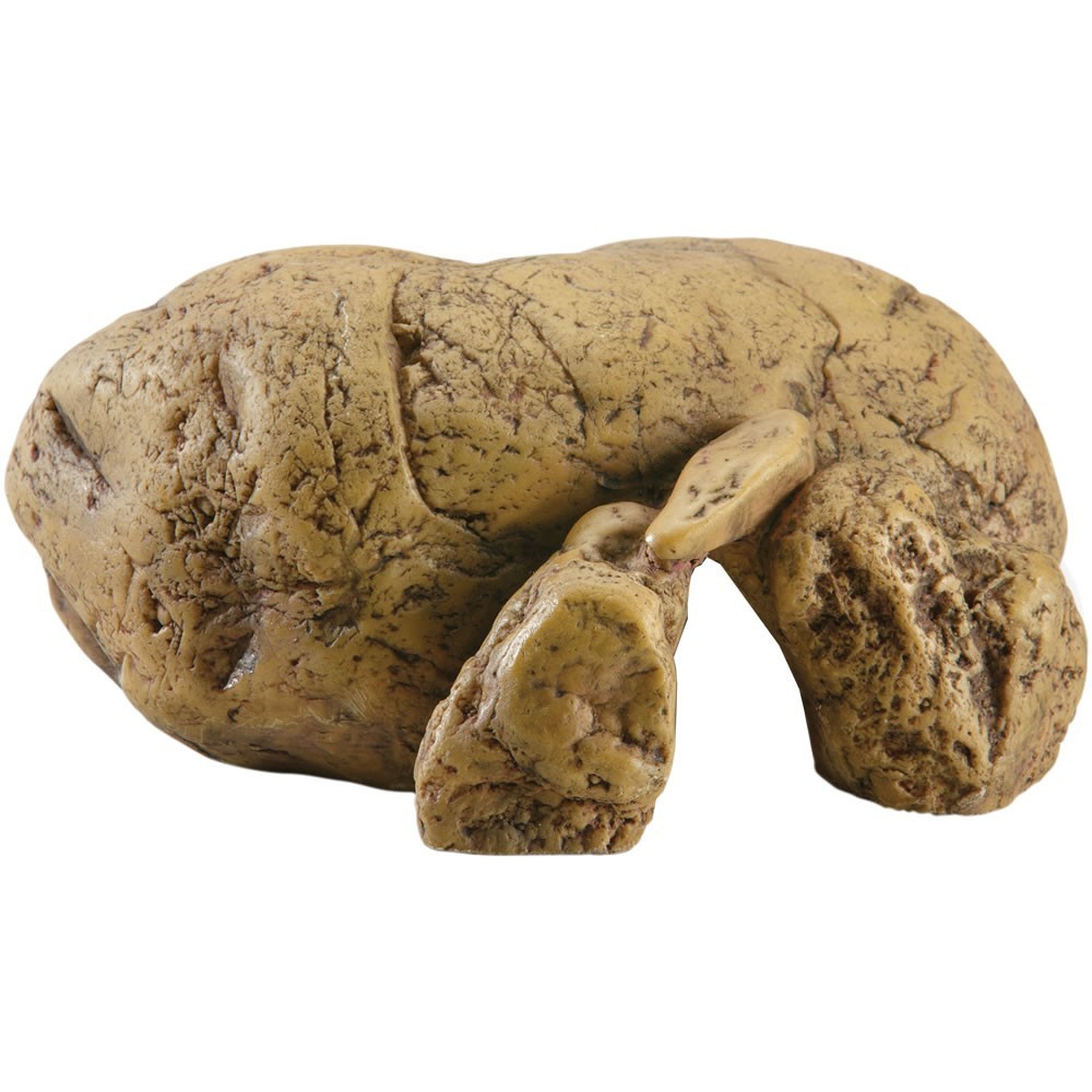 Guarida para Reptiles Exo Terra - Large