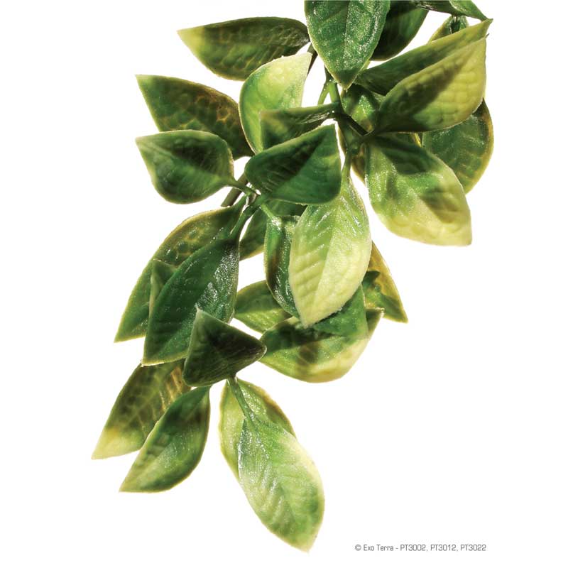 Planta Deco Jungla Mandarin Exo Terra - Large