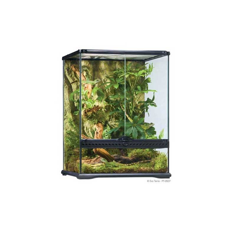 Exo Terra Terrario Small Alto